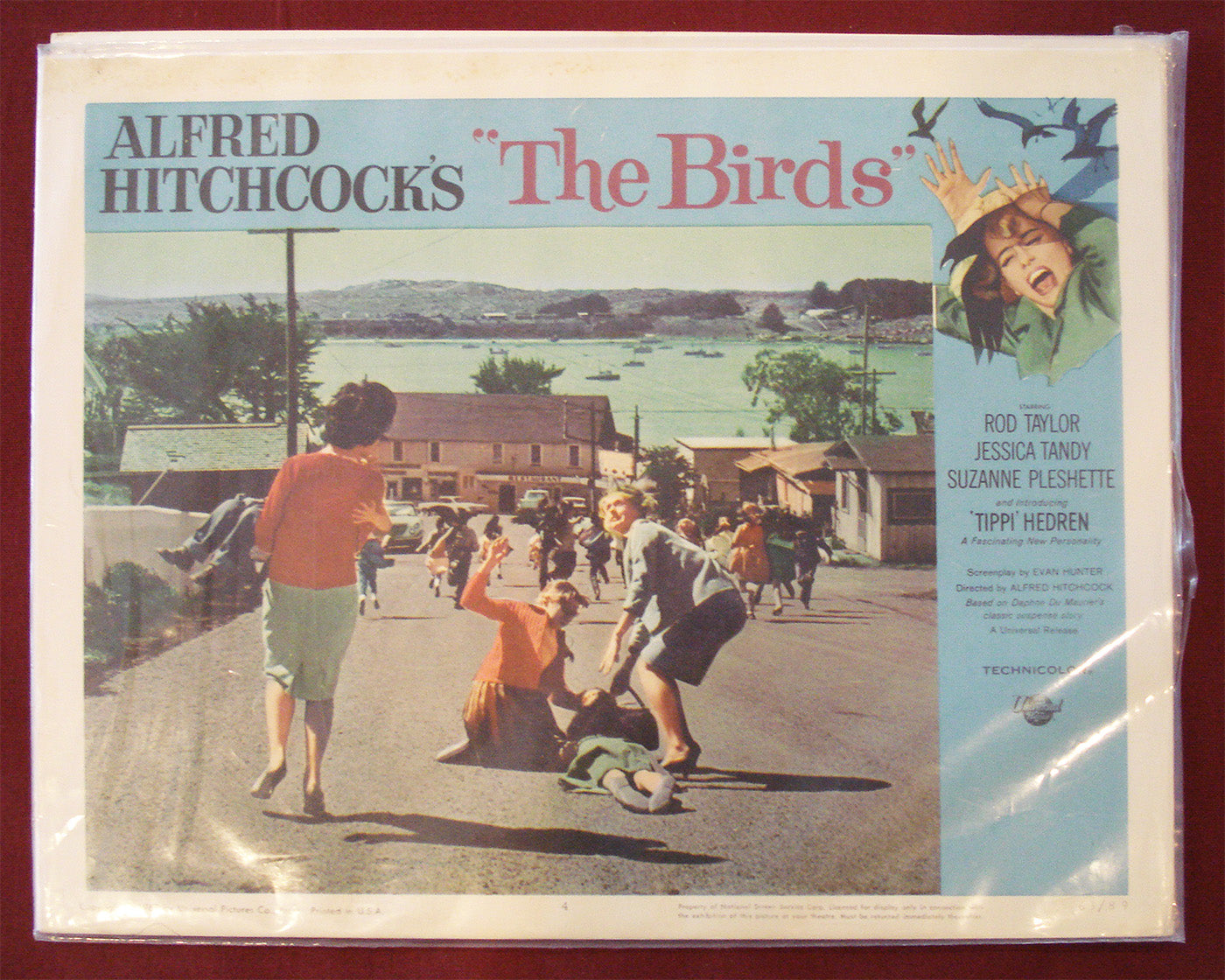 The Birds (1963) Original Lobby Card (Fine to Very Fine) Alfred Hitchcock, Rod Taylor, Tippi Hedren
